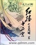 红楼十二宫