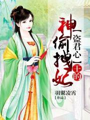 盗君心,王的神偷拽妃