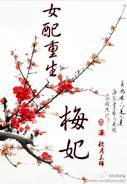 女配重生·梅妃（空间）