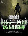 震惊!开局一片地,暴击出奇迹
