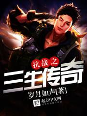 抗战之物流传奇免费