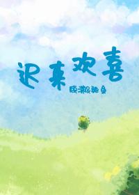 迟来欢喜