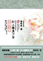 火爆丫鬟:杠上腹黑少爷