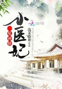 一见钟情小医妃