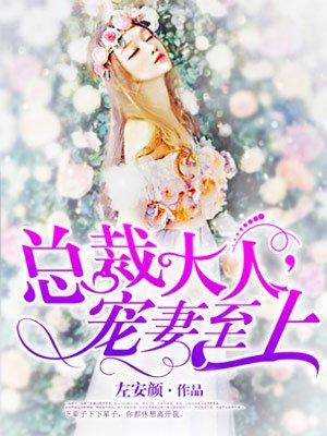 总裁大人,宠妻至上