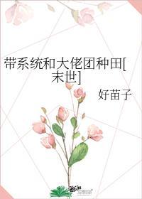 带系统和大佬团种田[末世]