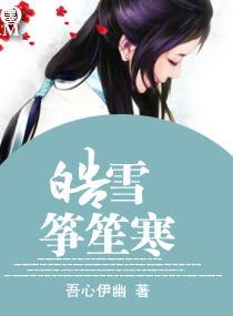 皓雪筝笙寒