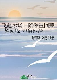 飞驰冰场：陪你重回荣耀巅峰[短道速滑]