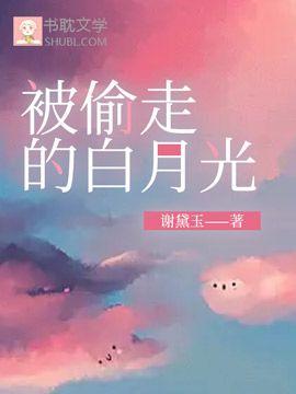 被偷走的白月光