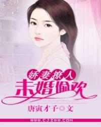 娇妻撩人:未婚偷欢