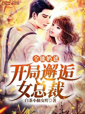 全能奶爸:开局邂逅女总裁