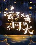 爱豆和我,全网最火