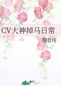 CV大神掉马日常
