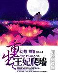 重生之王妃爬墻