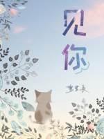 见你