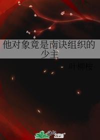 他对象竟是南诀组织的少主