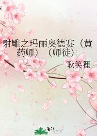 射雕之玛丽奥德赛（黄药师）（师徒）