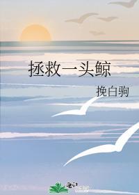 拯救一头鲸