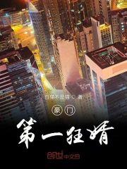 豪门第一狂婿