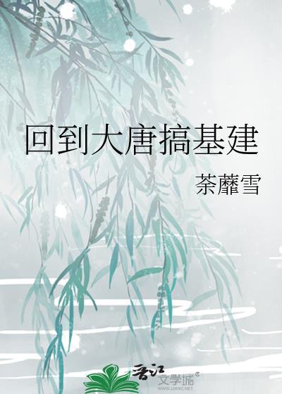 回到大唐搞基建