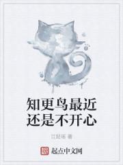 主角叶晨峰