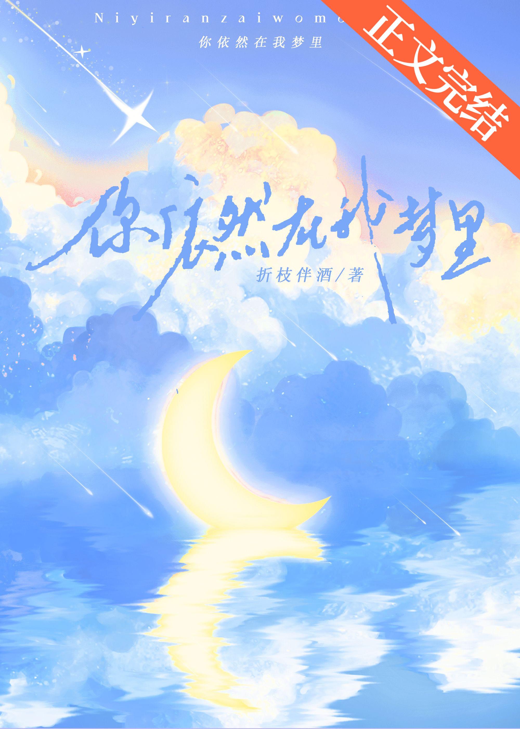 你依然在我梦裏