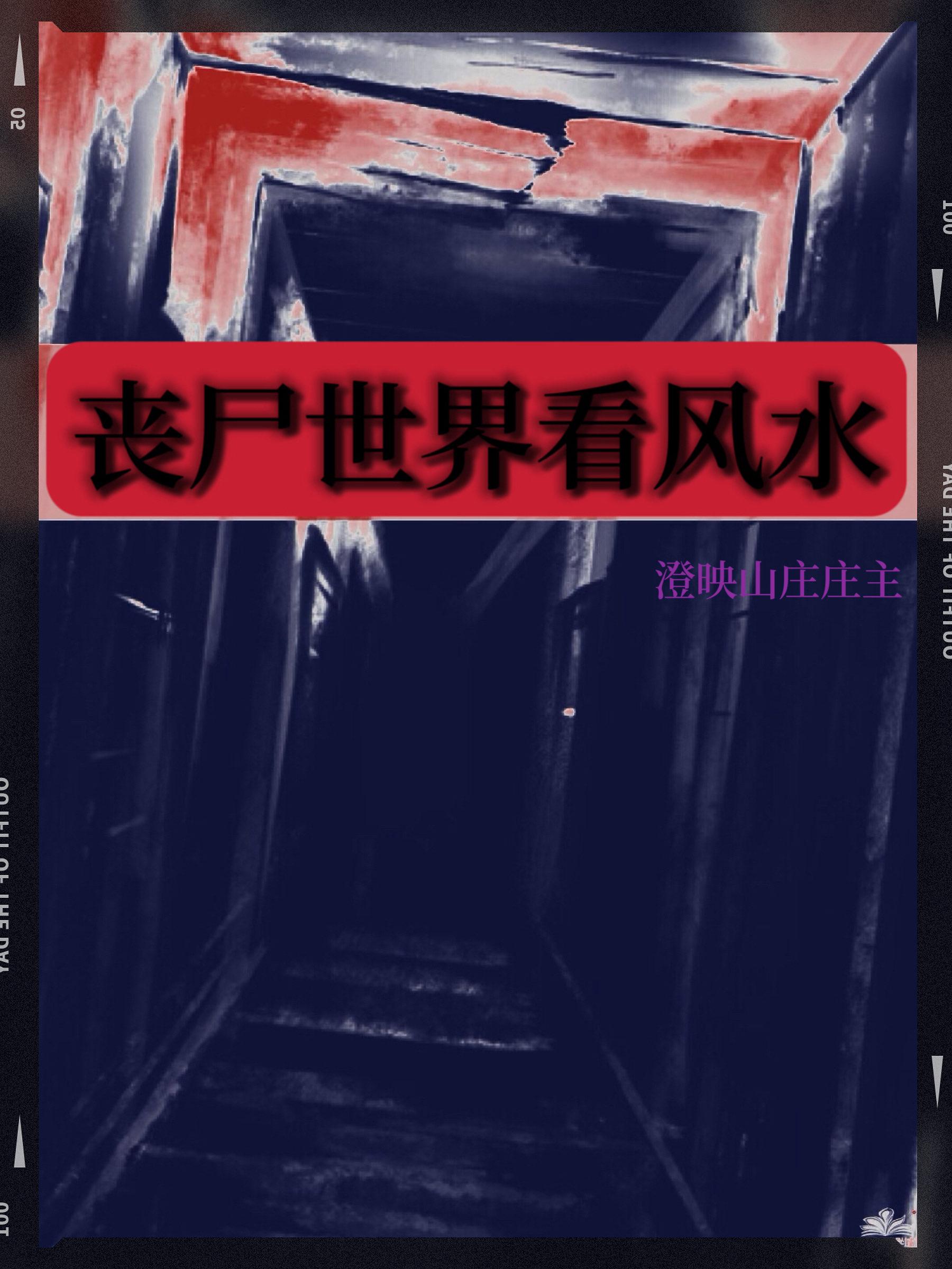风水师她兼职砍丧尸