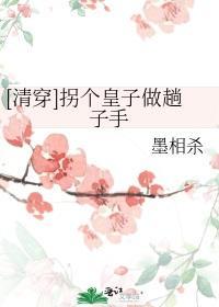 [清穿]拐个皇子做趟子手