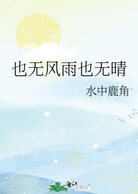 也无风雨也无晴