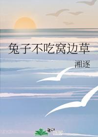 兔子不吃窝边草