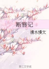 断簪记
