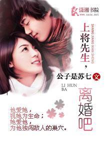 上将先生,离婚吧