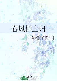 春风柳上归