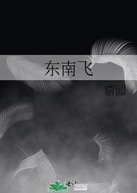 东南飞
