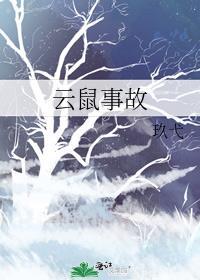 云鼠事故