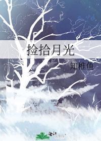 捡拾月光