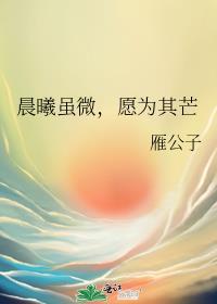 晨曦虽微，愿为其芒