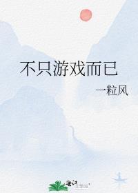 不只游戏而已