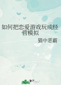 如何把恋爱游戏玩成经营模拟