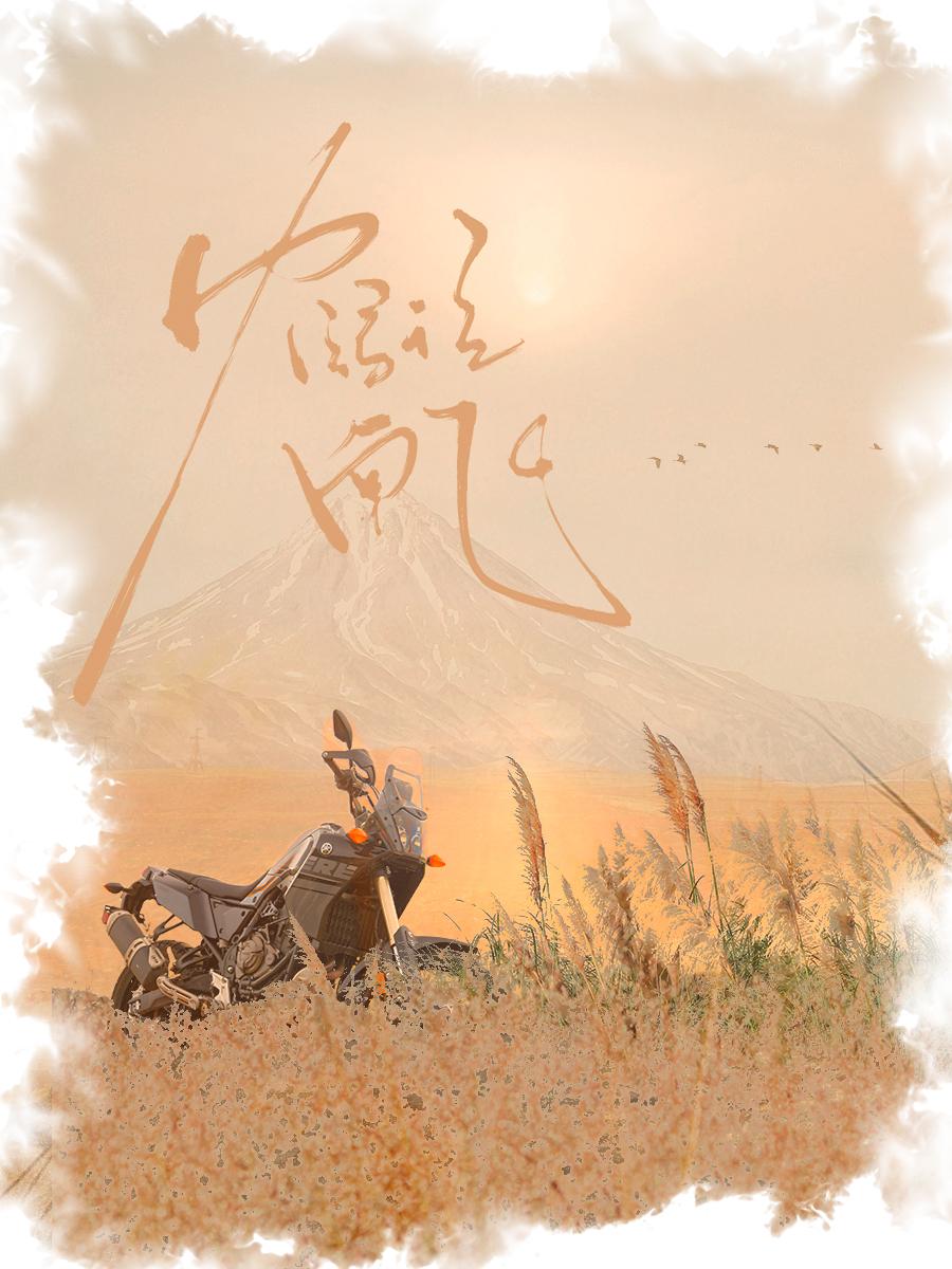 鹤往南飞