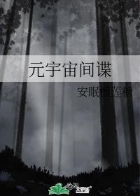 元宇宙间谍