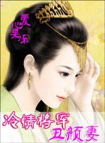 冷情将军丑颜妻