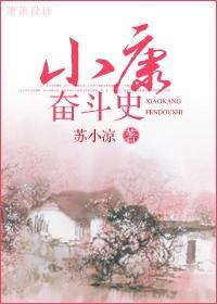小康奋斗史