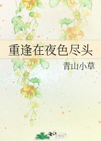 重逢在夜色尽头