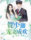 一念成婚:贺先生爱妻如命