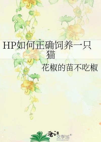 HP如何正确饲养一只猫