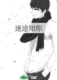 迷途知你