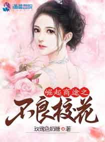崛起商途之不良校花