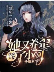 快穿:狂虐主角的大佬一心宠炮灰
