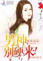 索欢无度:男神,轻一点!
